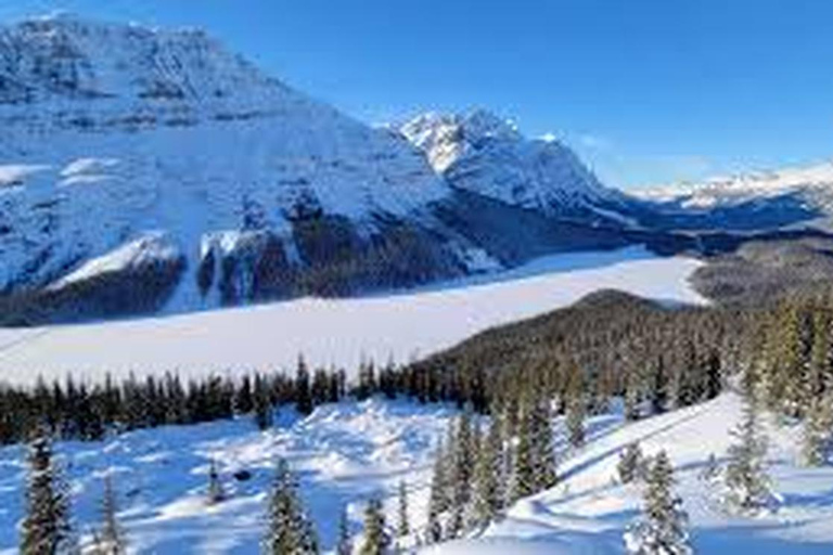 Abraham IceBubble,Bow Lake, Peyto Lake, Lake Louise Day Trip
