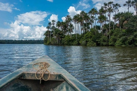 Puerto Maldonado: Chuncho Macaw Clay Lick & Kayak Tour