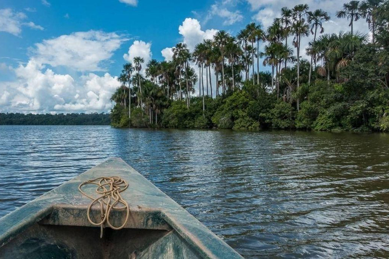 Puerto Maldonado: Chuncho Macaw Clay Lick & Kayak Tour