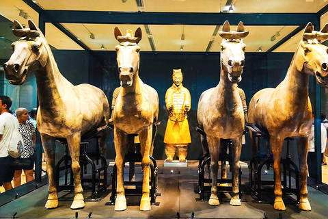 Xi'an: Terracotta Army, Lunch, City Wall, Pagoda, Bazaar Private Tour Spanish, Italian, German, French-Speaking Guide