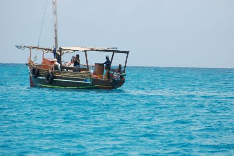 Isola Wasini: avvistamento di delfini e snorkeling al Kisite Marine