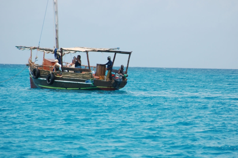 Isla Wasini: Avistamiento de delfines y snorkel en Kisite MarineExcursión al Parque Marino Kisite Mpunguti y a la Isla Wasini