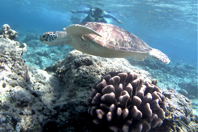 Lombok: Gili Trawangan, Meno, snorklingsresa med flygLombok: Snorklingsresa Gili Air, Meno, Trawangan