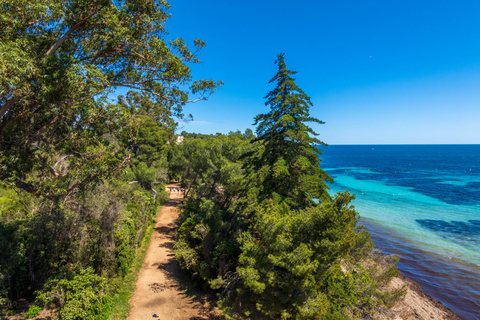 Isola di Santa Margherita: transfer in traghetto da Nizza