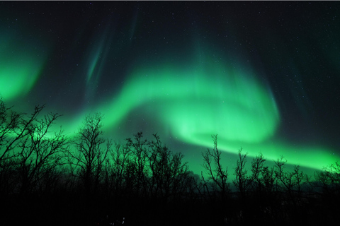 Tromsø : Visite guidée des aurores boréales avec un guide régional