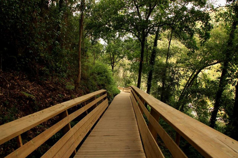 From Porto: 516 Arouca Bridge & Paiva Walkways - Guided Tour