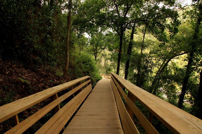 From Porto: 516 Arouca Bridge & Paiva Walkways - Guided Tour