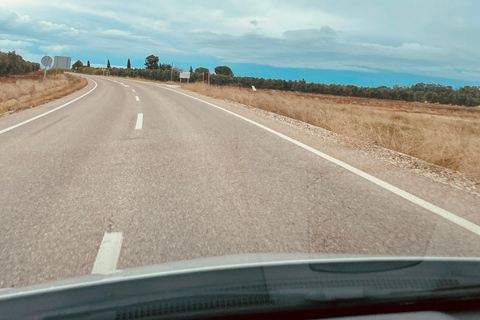 From Seville: White villages & Ronda day trip