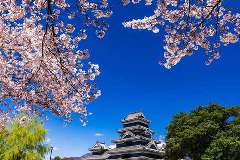 Tokyo: Mt. Fuji Private Scenic Tour with Custom Stops