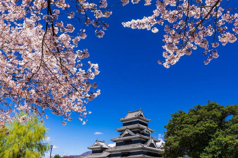 Tokyo: Mt. Fuji Private Scenic Tour with Custom Stops