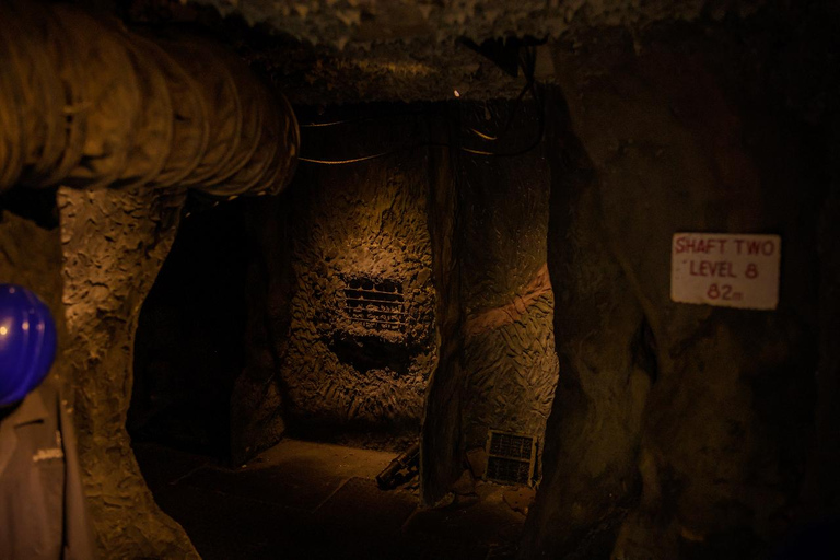 From Arusha : Tanzanite Experience Arusha Museum tour