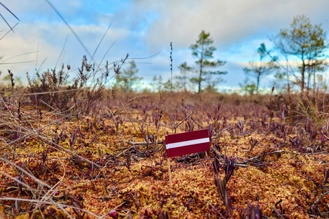 Ķemeri Bogs Adventure: Explore Wetlands In Bog Shoes