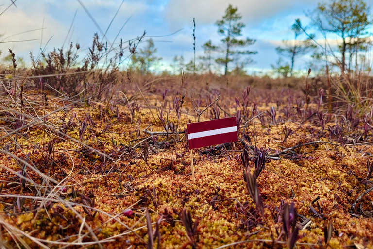 Ķemeri Bogs Adventure: Explore Wetlands In Bog Shoes