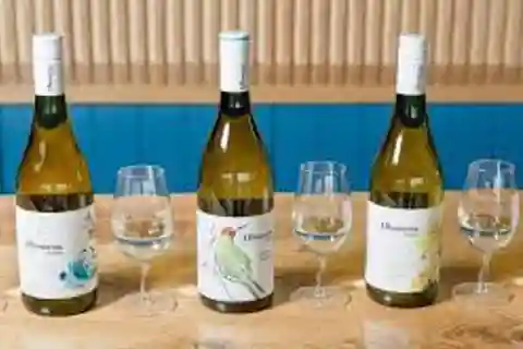 Sussex Vineyard Tour by Minibus - pick up and drop off