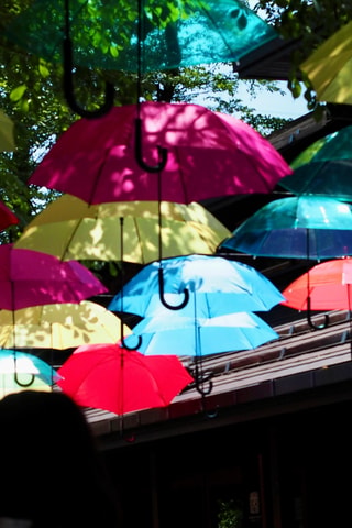 Kanto 10-hour chartered day trip|Karuizawa