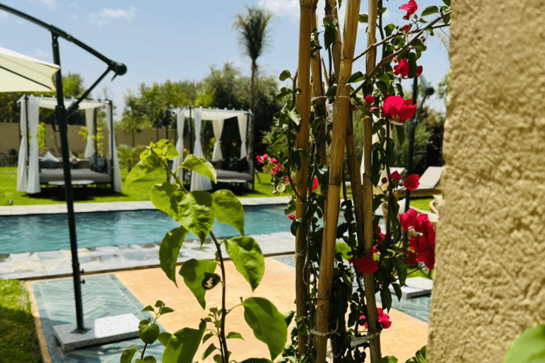 From Marrakesh: Pool Day Pass in Atlas Mountains with Lunch Refreshing Pool Escape: Enjoy Lunch and Easy Pickup