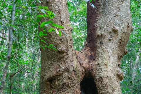 Parque Nacional de Cat Tien Tour particular de 2 dias com guia de turismoNão inclui alimentação e hotel