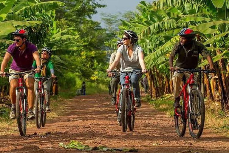Serengeti: Fly-in Drive-out 4-tägige Safari mit 3 ÜbernachtungenSerengeti: 4 Tage und 3 Nächte Safari mit Flug und Ausfahrt