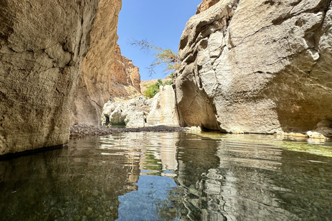 Muscat: Wüste, Quad Bike &amp; Wadi Bani Khalid TourWüste &amp; Wadi Bani Khalid Tour