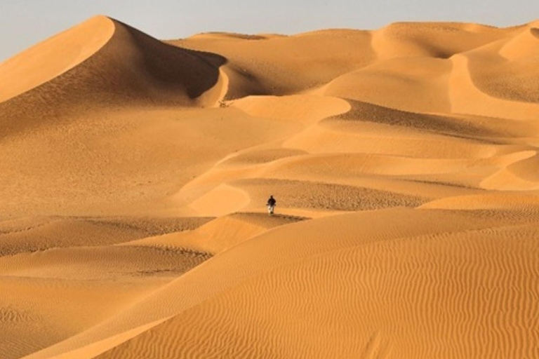 Empty Quarter desert sand dunes