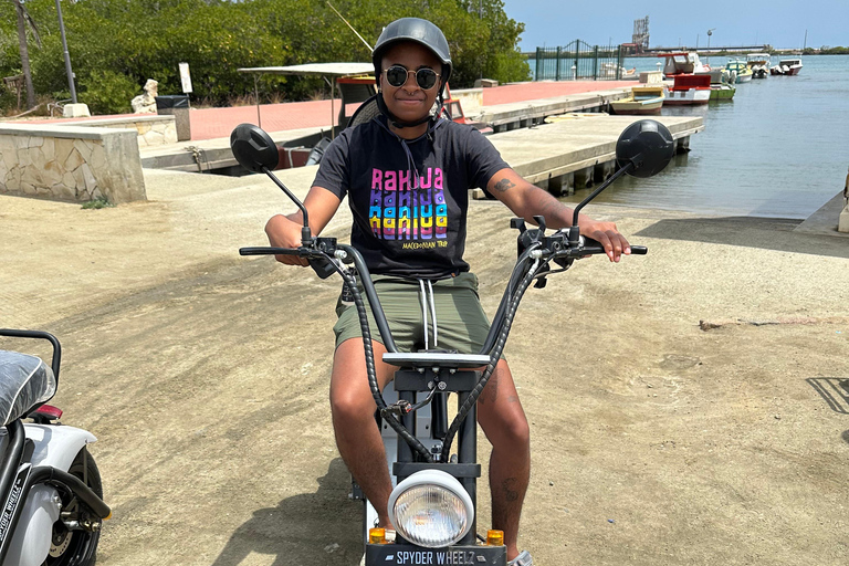 Aruba: Electric Scooter Tour with Beach Stops