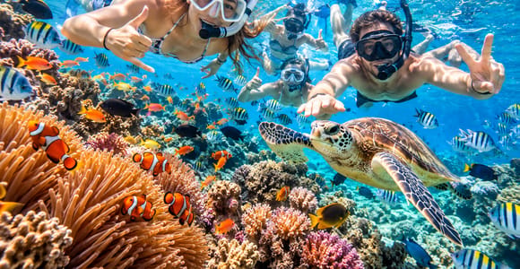 From Koh Samui: Koh Tao & Koh Nang Yuan Island-Hopping Tour