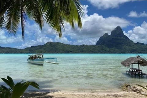 Bora-Bora : plongée dans le lagon et découverte des perles