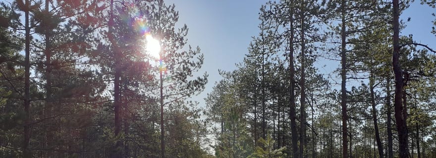 Lahti : Promenade guidée au cœur des marais