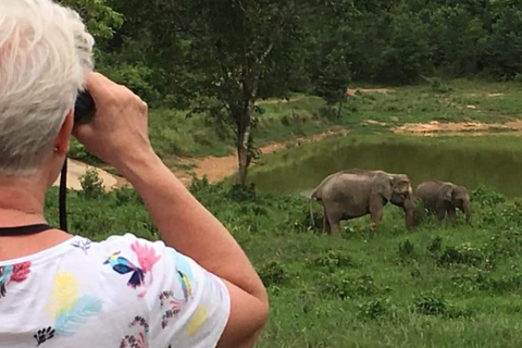 Hua Hin: Kui Buri National Park Wild Elephant Watching