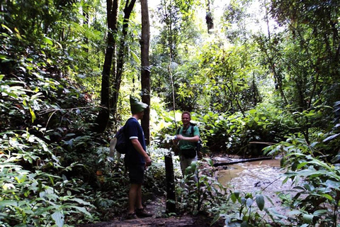مغامرة لمدة 2-3 أيام في شيانغ ماي: قبائل التلال والفيلة والنهر2 أيام 1 ليلة واحدة: الحياة المحلية ورعا
