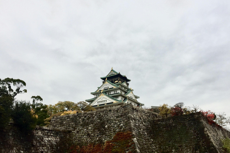 1 dia de Osaka a Kyoto: Tour pelos templos, castelos e cultura