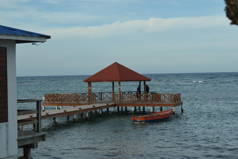 普拉塔港：从泰诺湾/安伯湾出发的猴子之旅和城市之旅普拉塔港：塔伊诺湾/安伯湾的猴子之旅和城市之旅