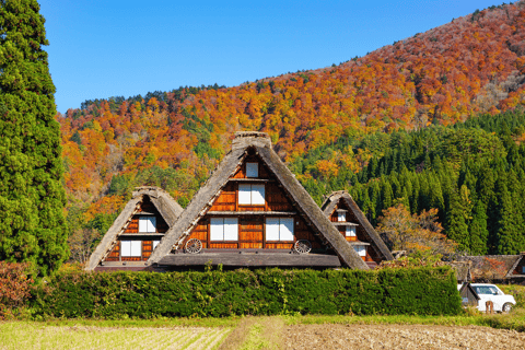 Visite en bus d&#039;une journée de Shirakawago et Takayama au départ de Nagoya