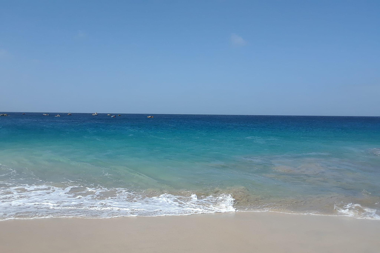 Sao Vicente: Pływanie i snorkeling z żółwiami morskimi
