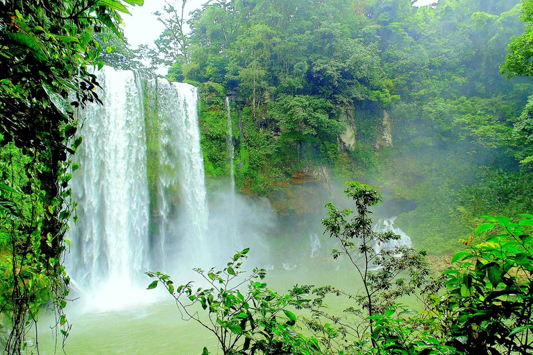 Chiapas: Tour particular de natureza e aventura 5 dias - 4 noitesChiapas: Aventura de 5 dias na fauna e nas cachoeiras