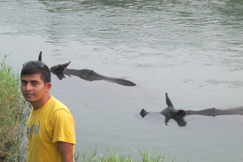 3 noites e 4 dias no Parque Nacional de Chitwan com estadia noturna na torre