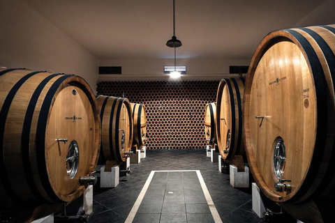 Evora, vignoble et fabrique de bouchons : Transport privé d&#039;une journée