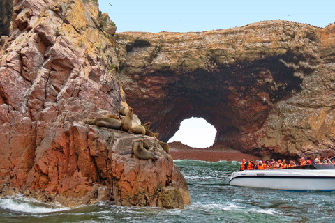 From Ica: Paracas and Ballestas Islands Full-Day Tour