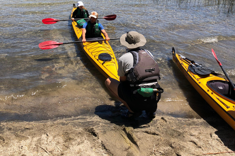 Villa la Angostura: Half Day Kayak Tour with Picnic