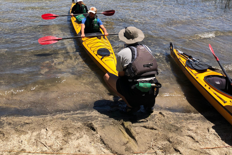 Villa la Angostura: Half Day Kayak Tour with Picnic