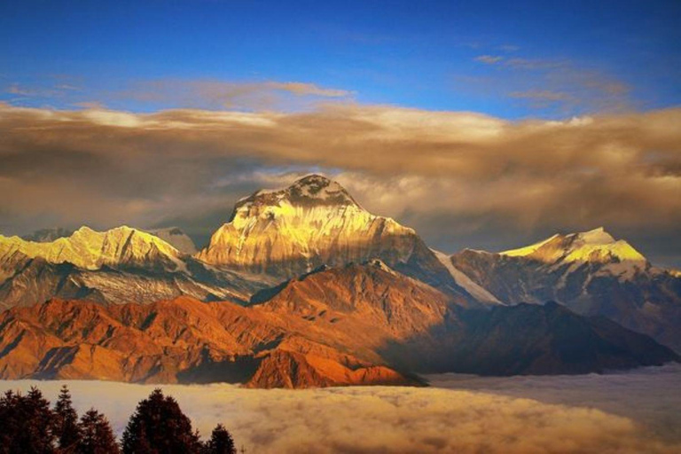 Trek de 5 jours à Poon Hill : depuis Pokhara