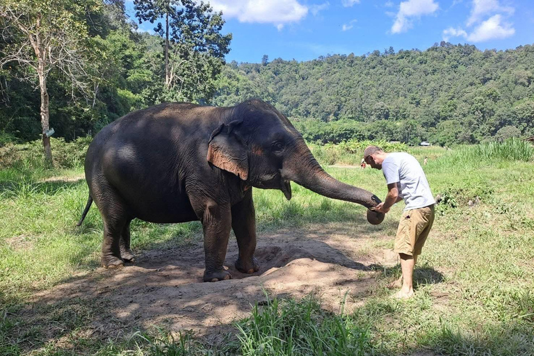 Chiang Mai: 2-Day Jungle Trek with Elephant Farm & Raft Ride Hotel Pickup and Drop-off (within Pickup Area)