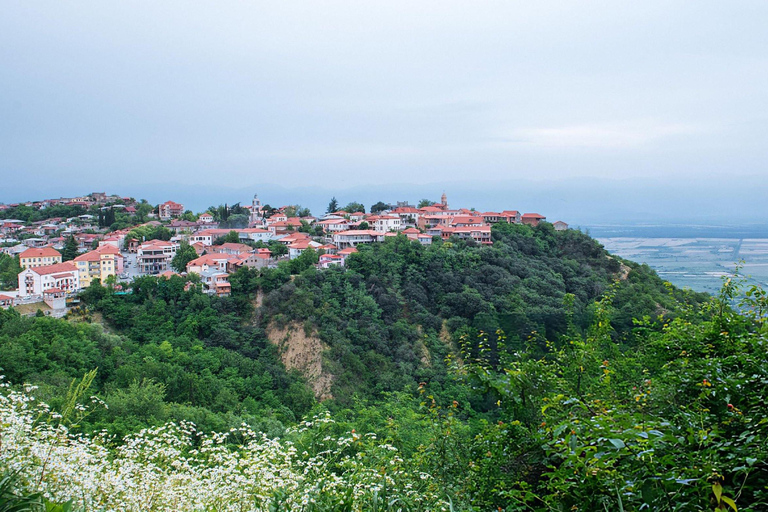 Tbilisi: Kakheti Wine Tasting & City of Love Wines Included✨