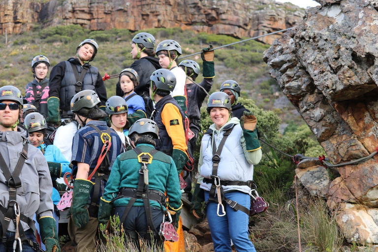Cape Town: Zipline Adventures (Hotel Pickup &amp; Dropoff incl.)