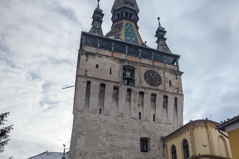 Brasov: Turda Salt Mine & Sighisoara Guided Tour