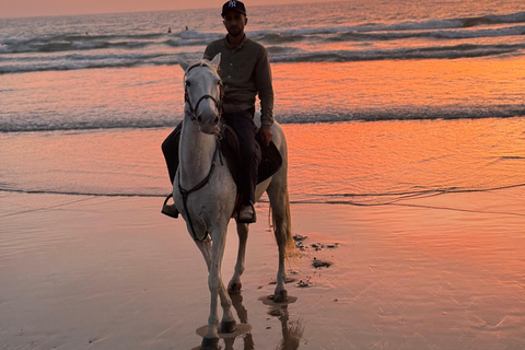 Taghazout: Private Horse Ride on Banana Beach with Pickup