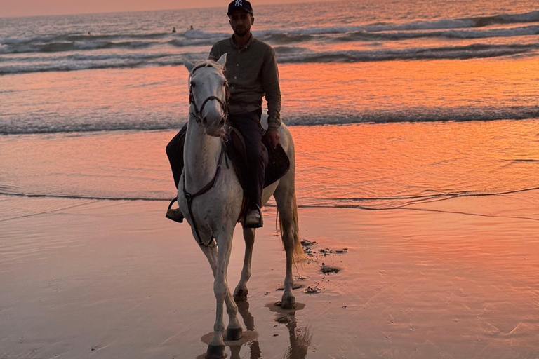 Taghazout: Private Horse Ride on Banana Beach with Pickup