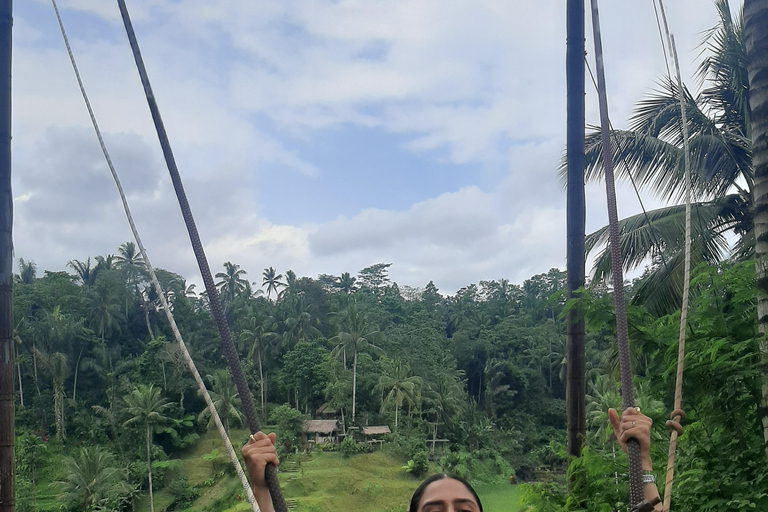 Ubud: foresta delle scimmie, terrazzamenti di riso e cascata