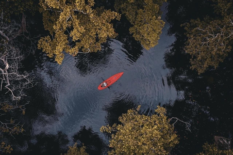 From Sigiriya: Kala Wewa Wildlife Kayaking Adventure