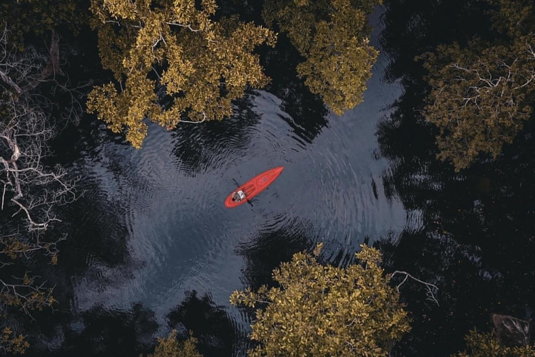 From Sigiriya: Kala Wewa Wildlife Kayaking Adventure